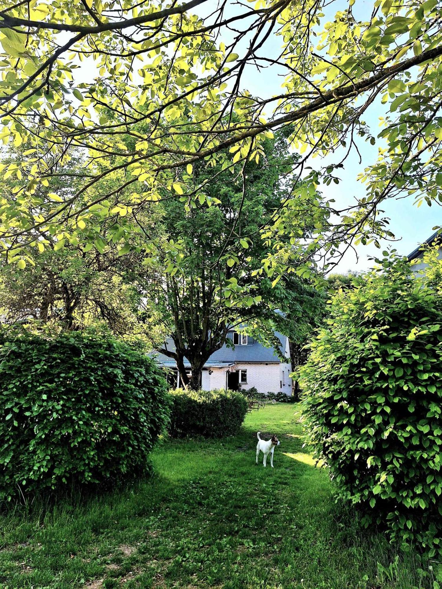 Ferienwohnung Zielona Samotnia Czaplinek Exterior foto